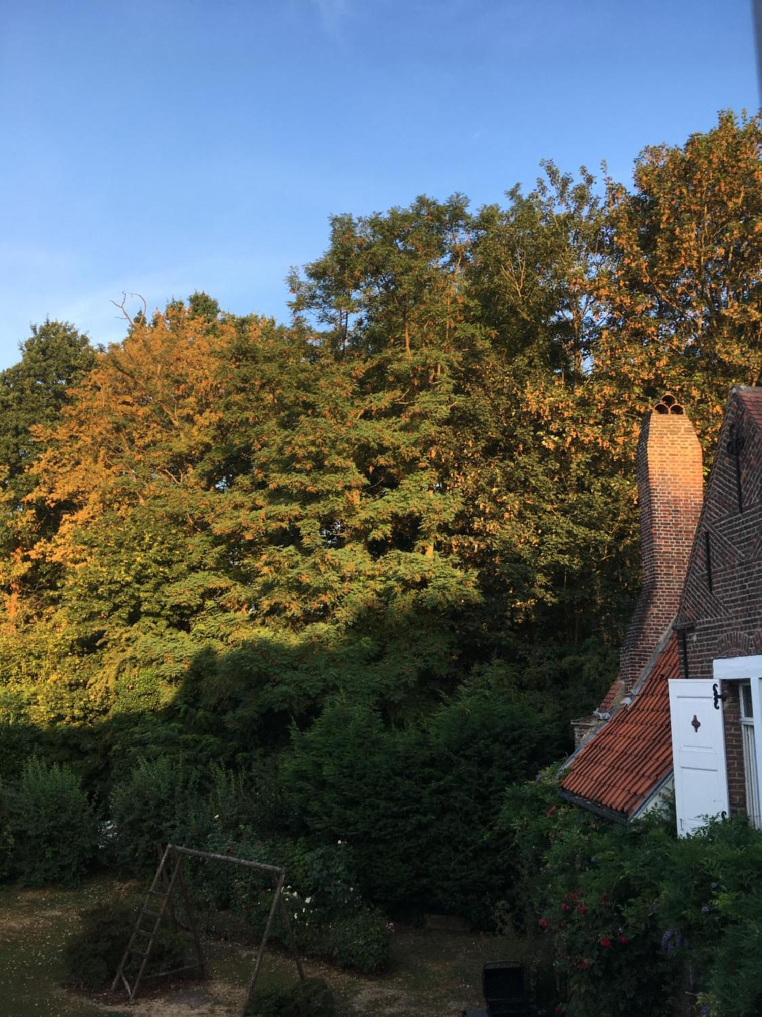 Le Pigeonnier, Maison D'Hotes Et Spa Croix Exteriör bild